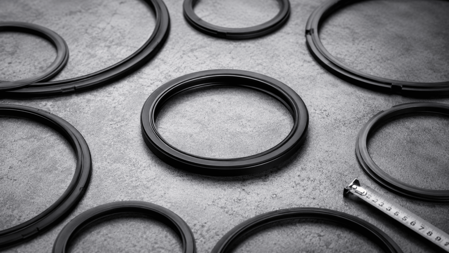 How to choose a Pressure Cooker gasket? - Twin Palmyra