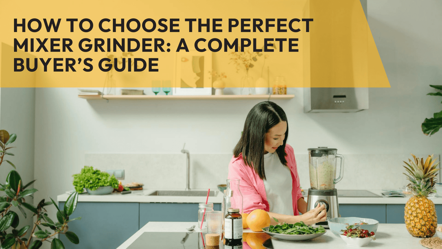 How to Choose the Perfect Mixer Grinder: A Complete Buyer’s Guide - Twin Palmyra