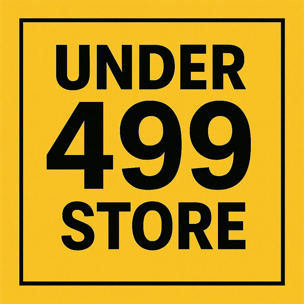 Best Products Under ₹499 – Affordable & Quality Picks - Twin Palmyra
